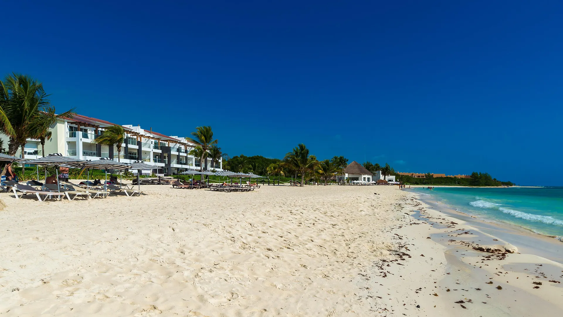 Mareazul Beach Front Resort פלאייה דל כרמן מלון דירות