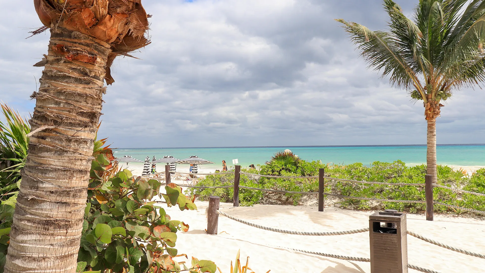 Mareazul Beach Front Resort פלאייה דל כרמן 4*,  מקסיקו