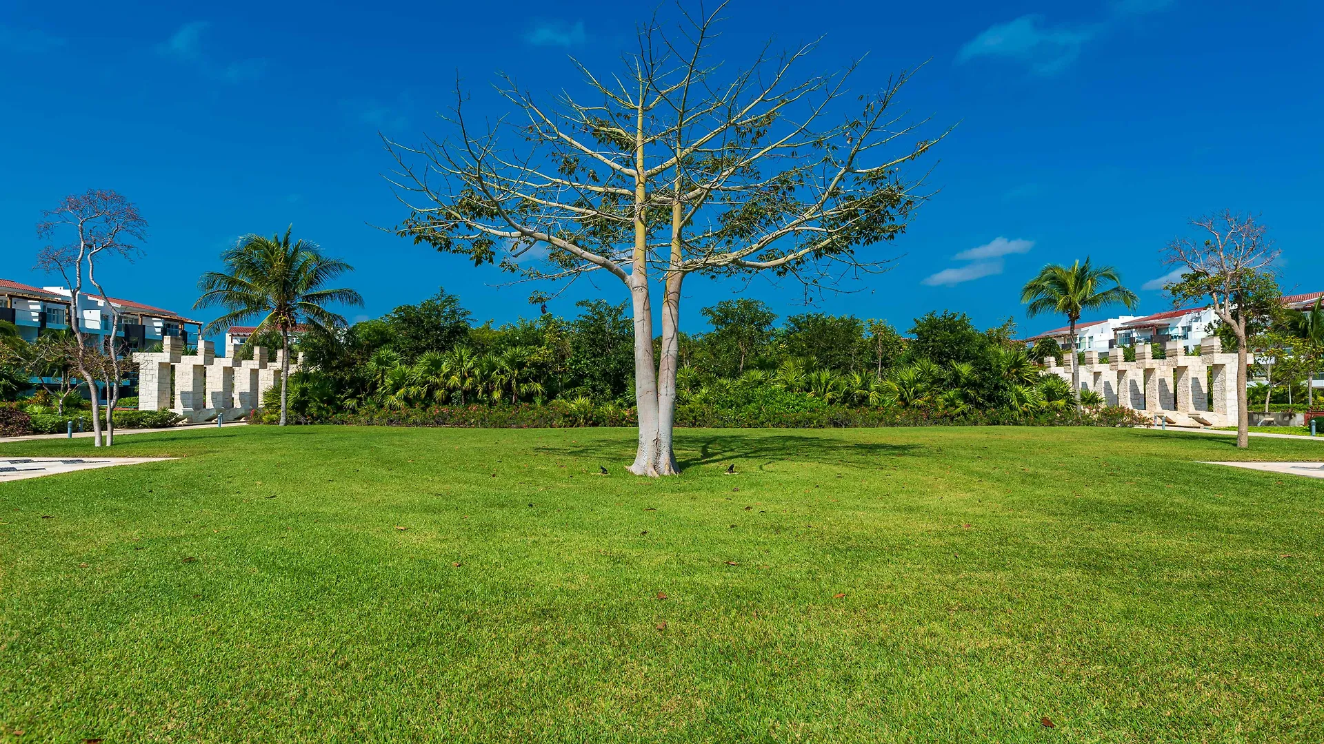 Mareazul Beach Front Resort Playa Del Carmen Mexique